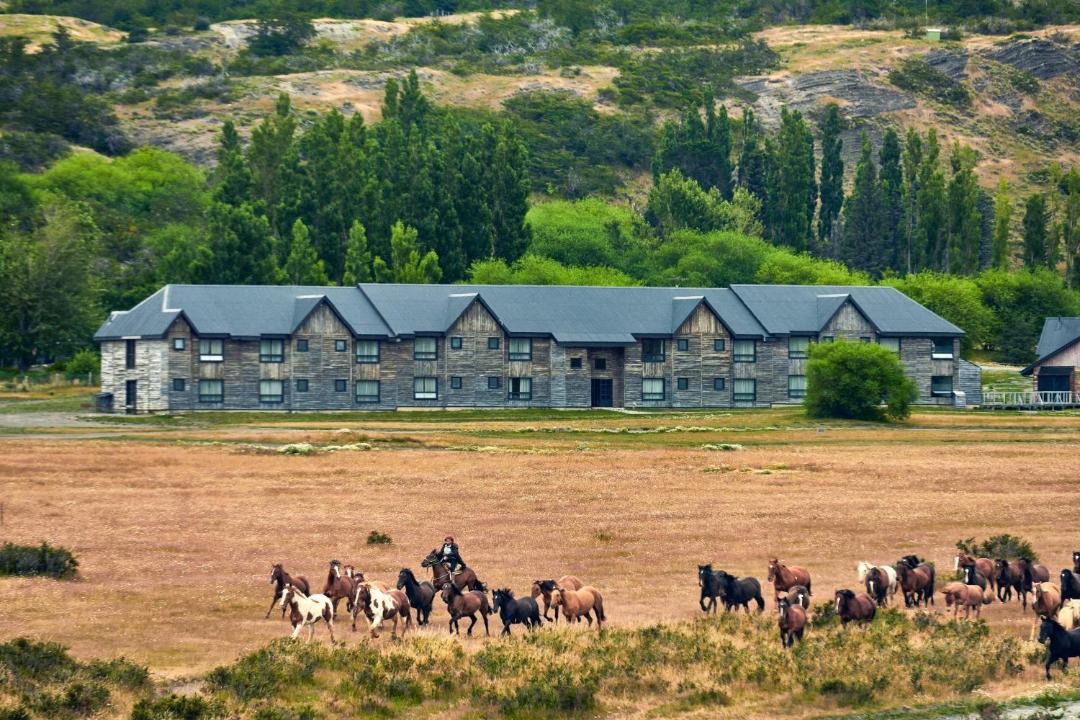 Photo of Others in Torres Del Paine