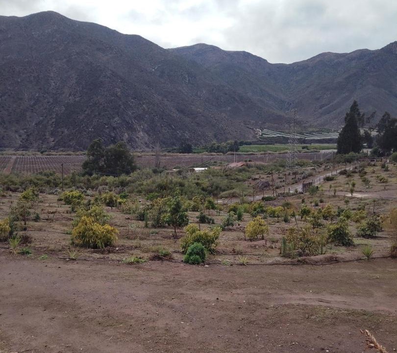 Photo of Others in El Molle