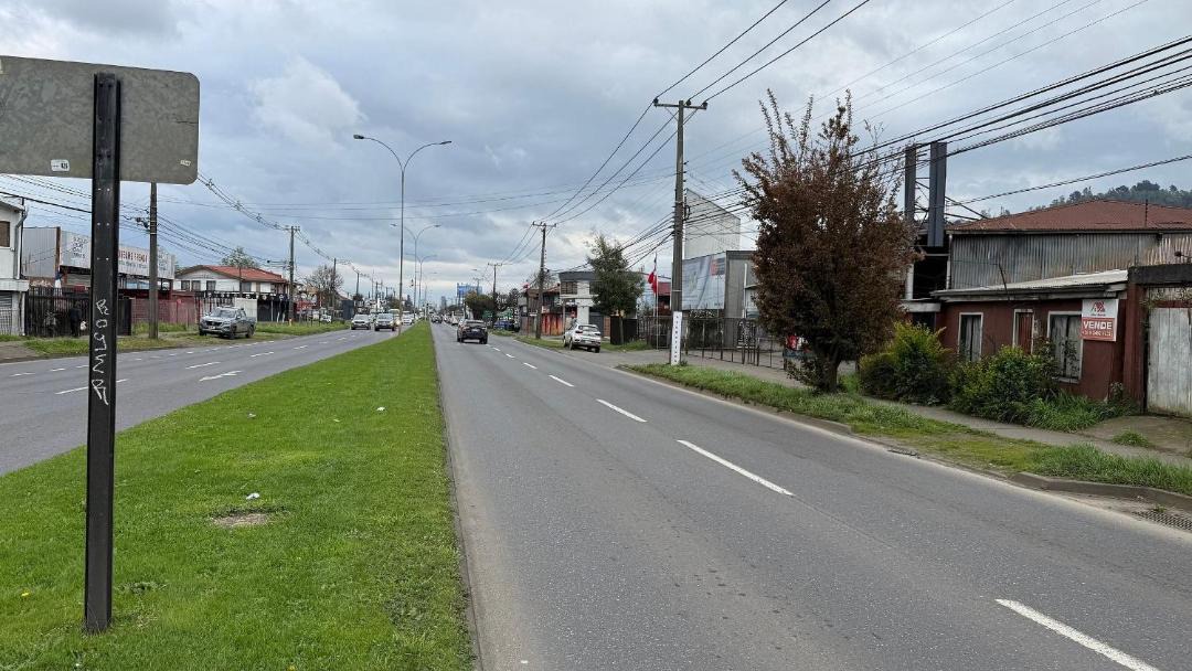 Photo of Others in Temuco