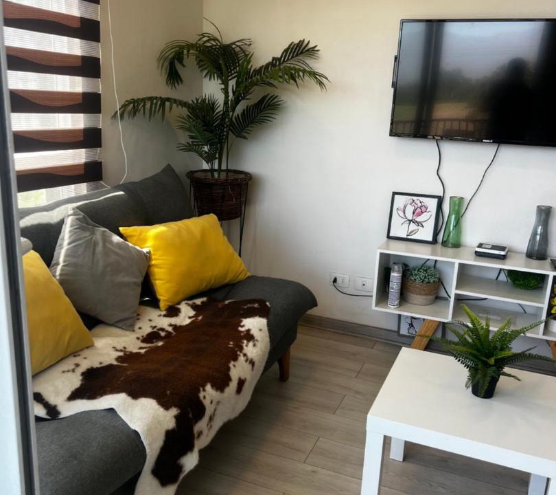 Photo of Livingroom in Rancagua