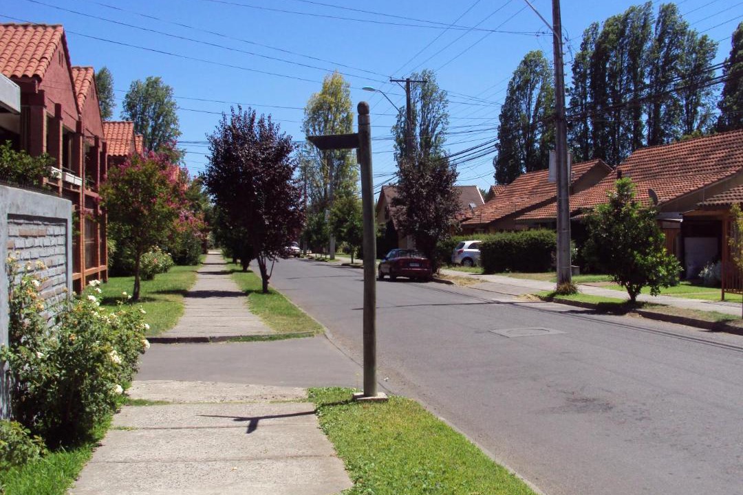 Photo of Others in Curico