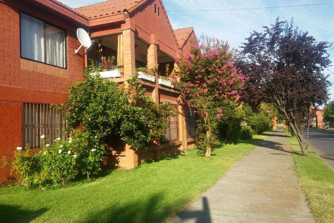 Photo of Others in Curico