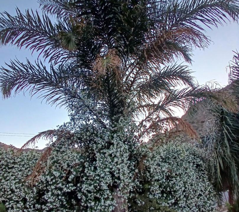 Photo of Outdoor in Chilecito