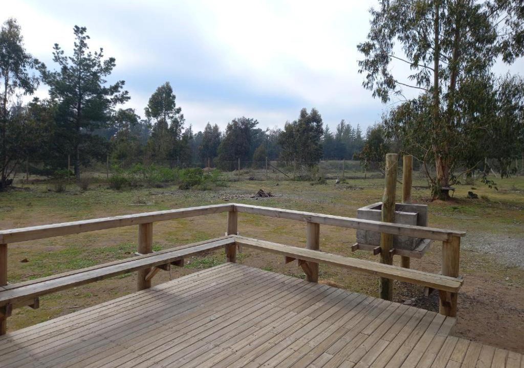 Photo of Others in Algarrobo