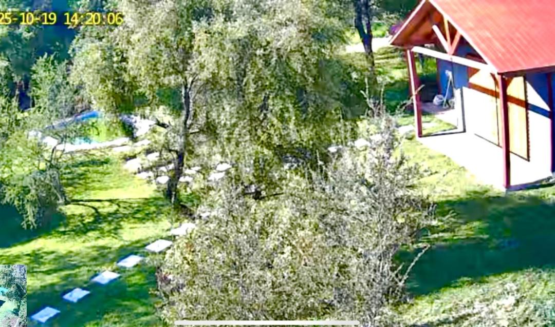 Photo of Others in Los Angeles