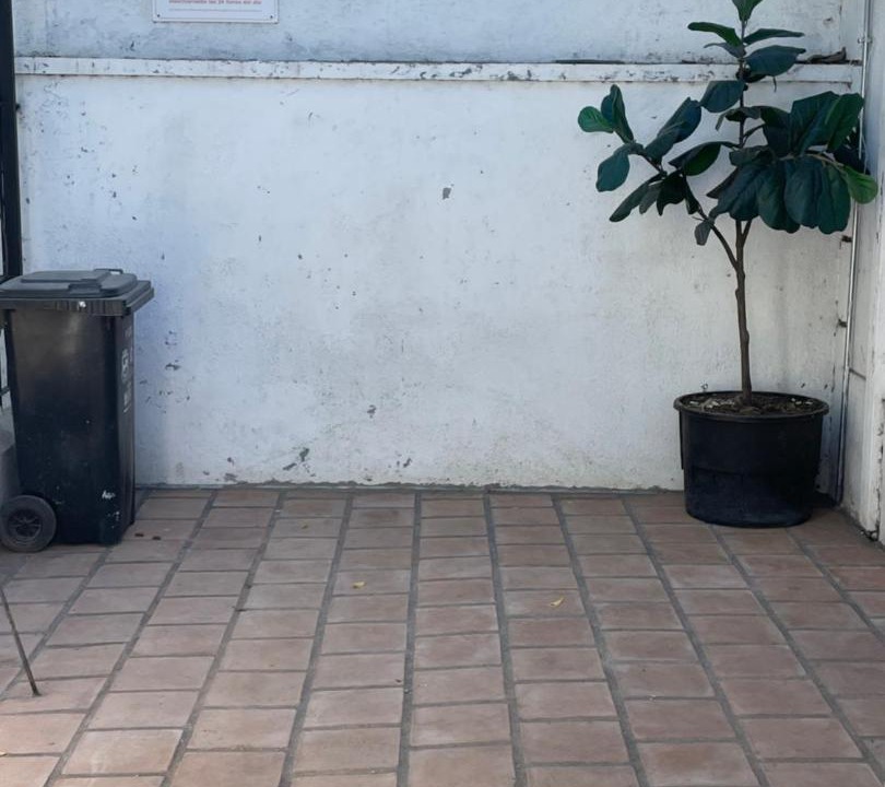 Photo of Others in Curico