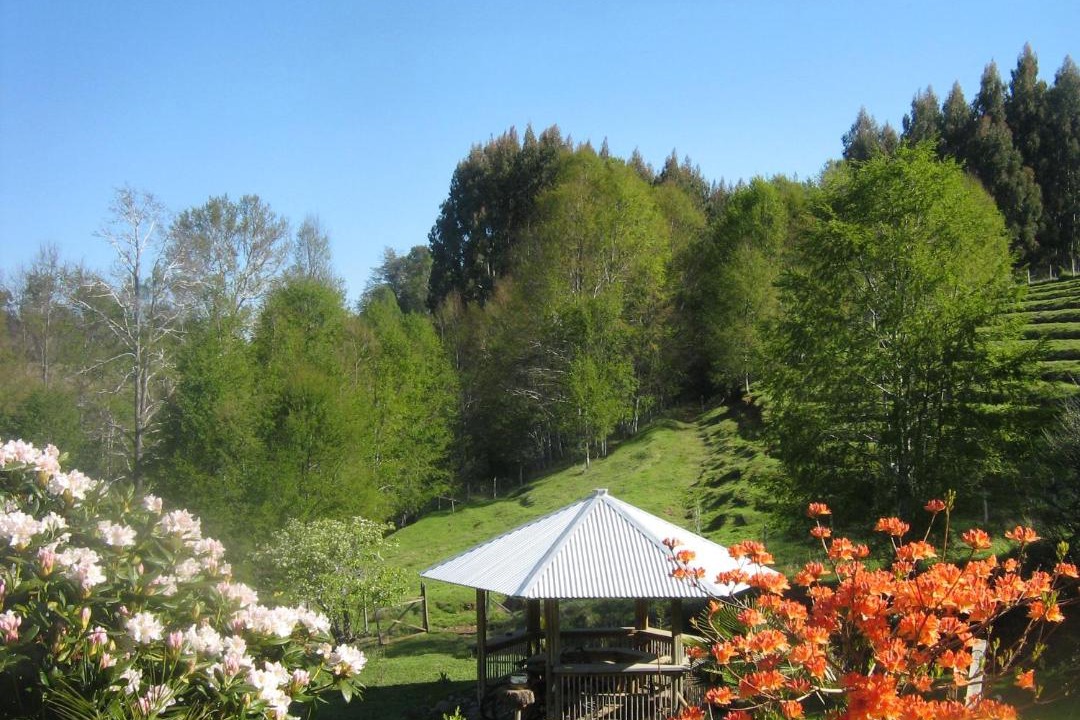 Photo of Others in Araucania Region