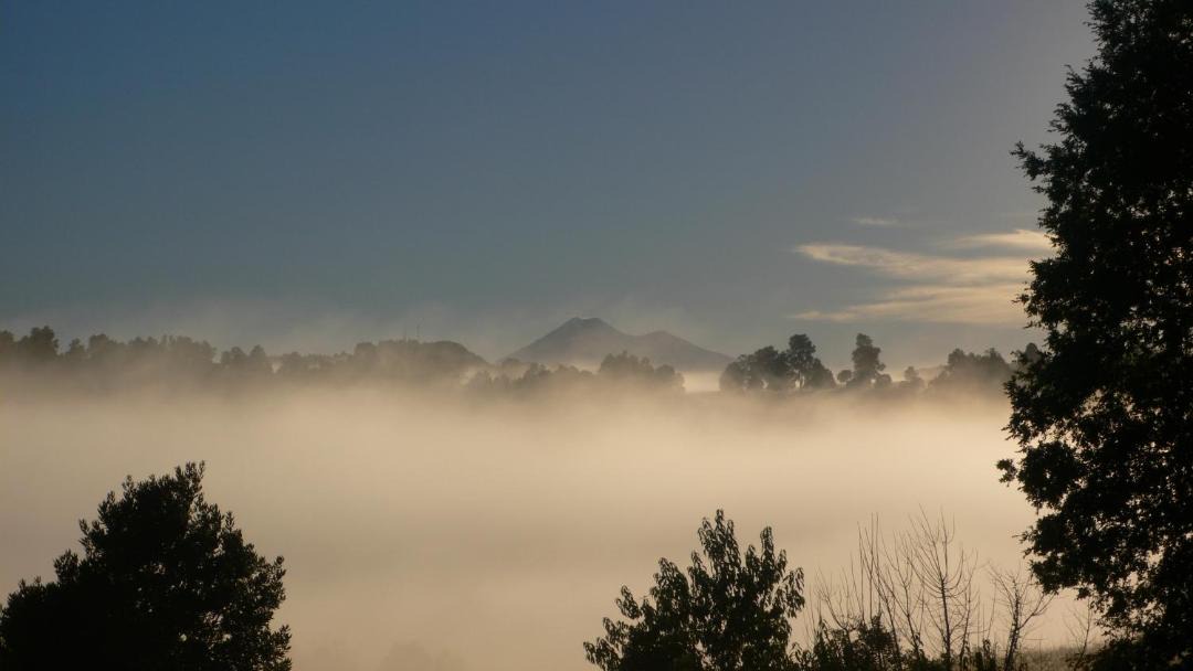 Photo of Others in Araucania Region