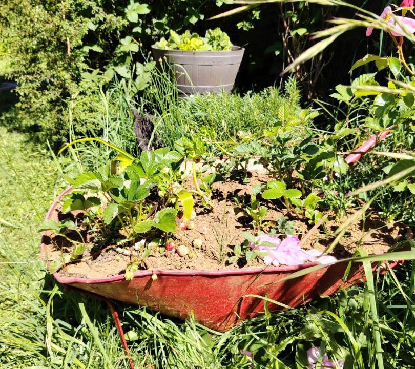 Photo of Others in Valdivia