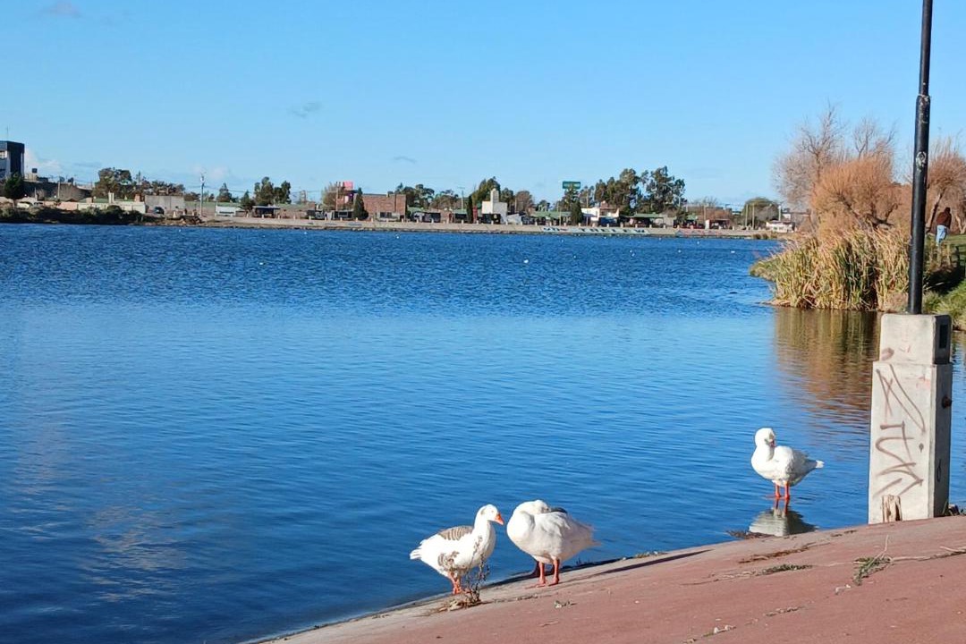 Photo of Others in Trelew
