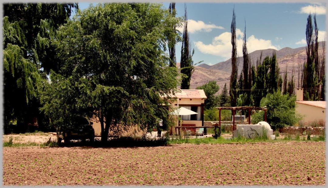 Photo of Others in Huacalera