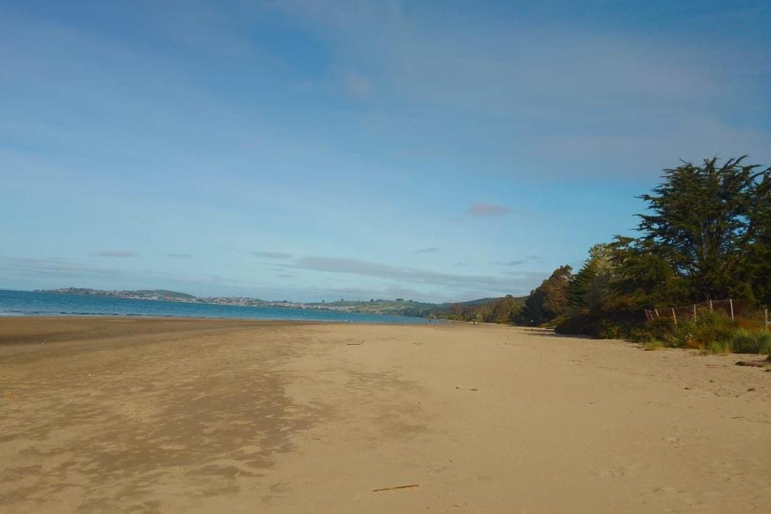 Photo of Others in Ancud
