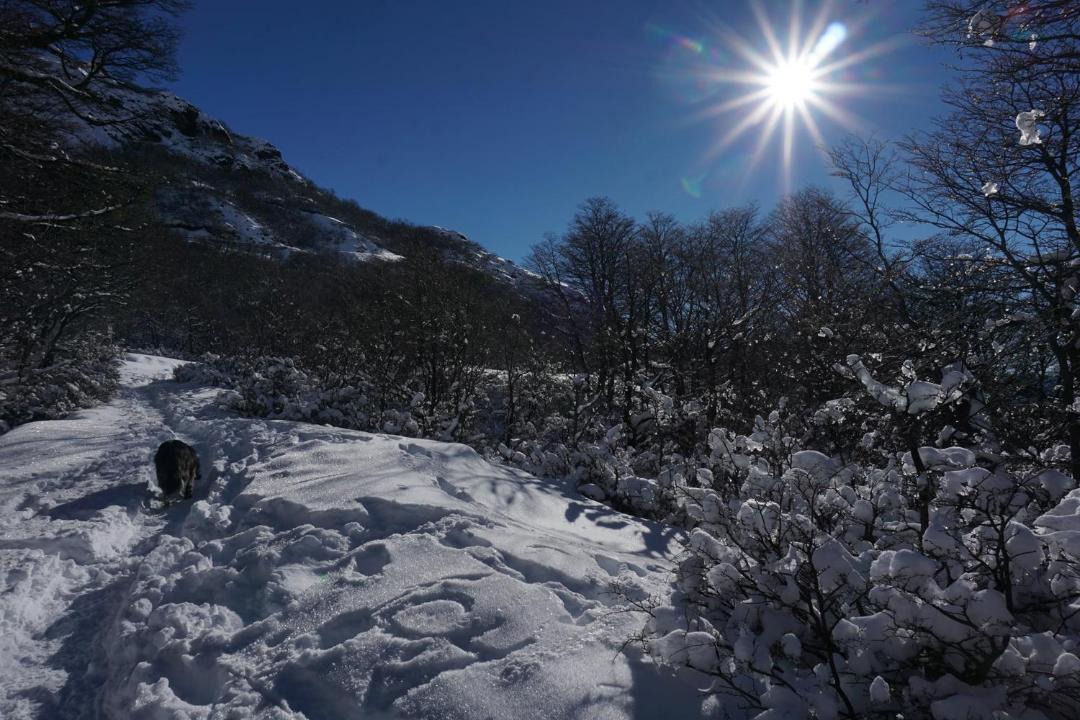 Photo of Others in San Carlos de Bariloche