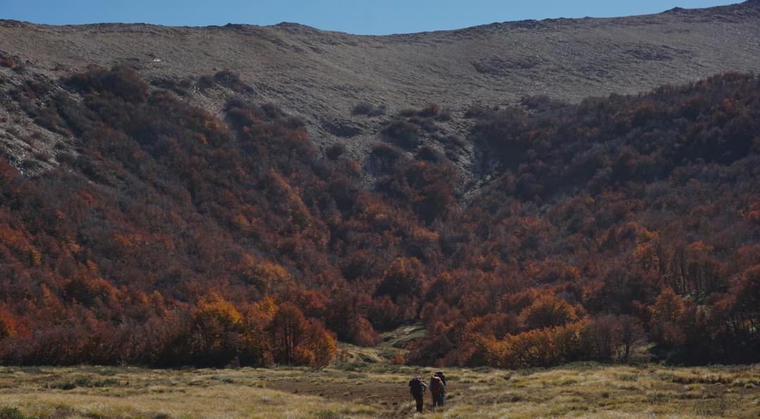 Photo of Others in San Carlos de Bariloche