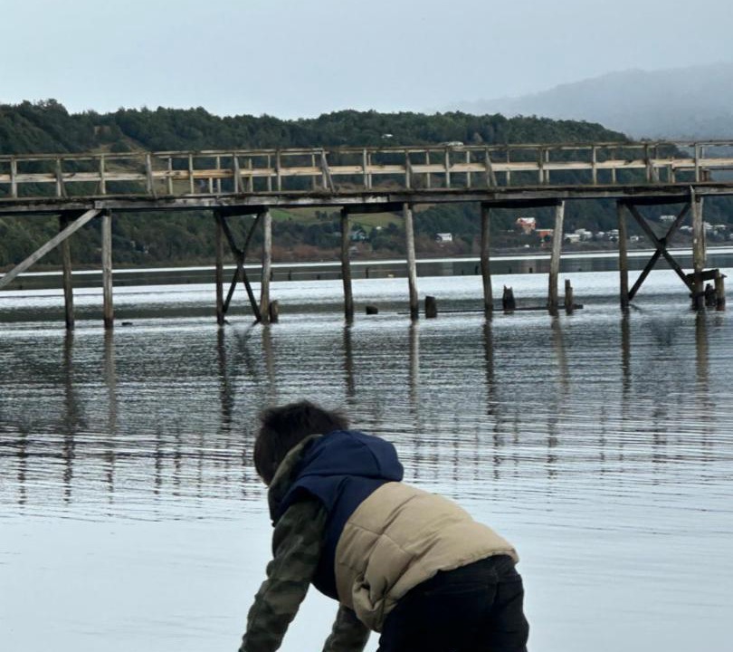 Photo of Others in Chonchi