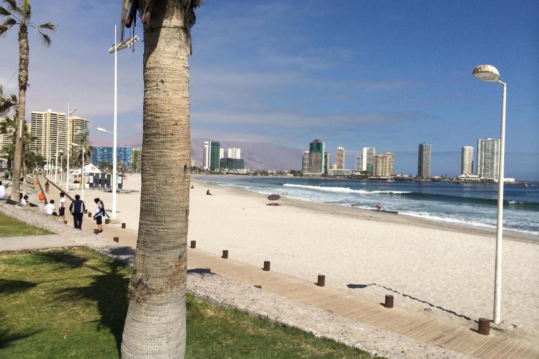 Photo of Others in Iquique