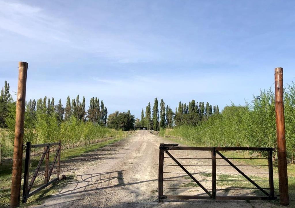 Photo of Others in Trelew