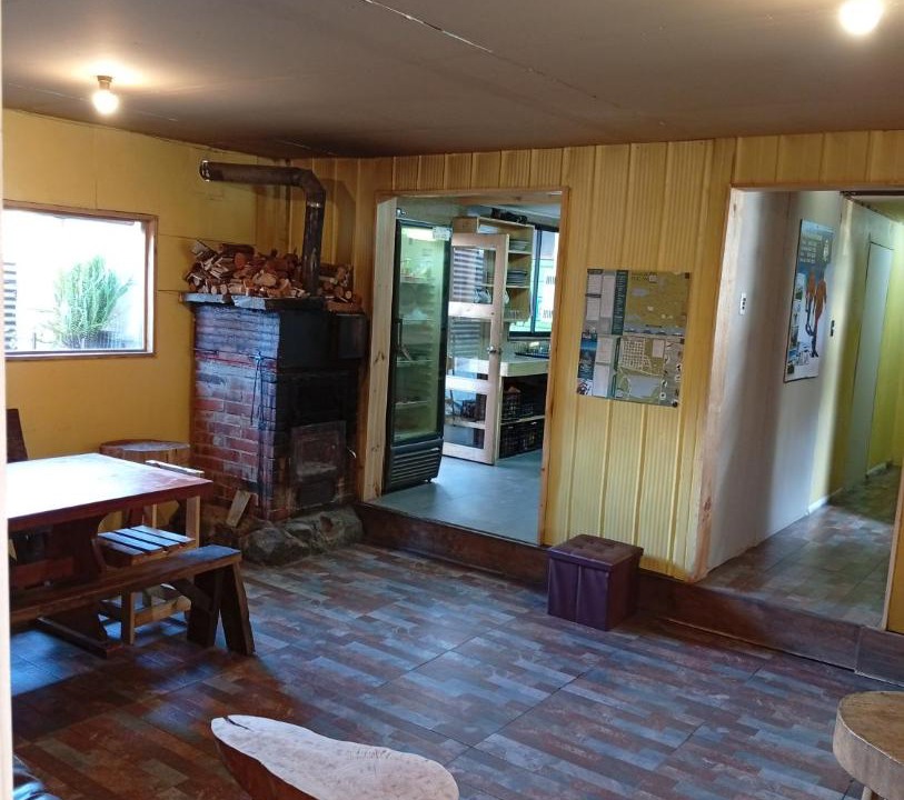 Photo of Others in Pucon