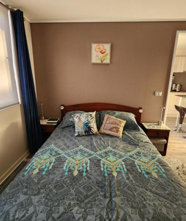 Photo of Bedroom in Vina del Mar