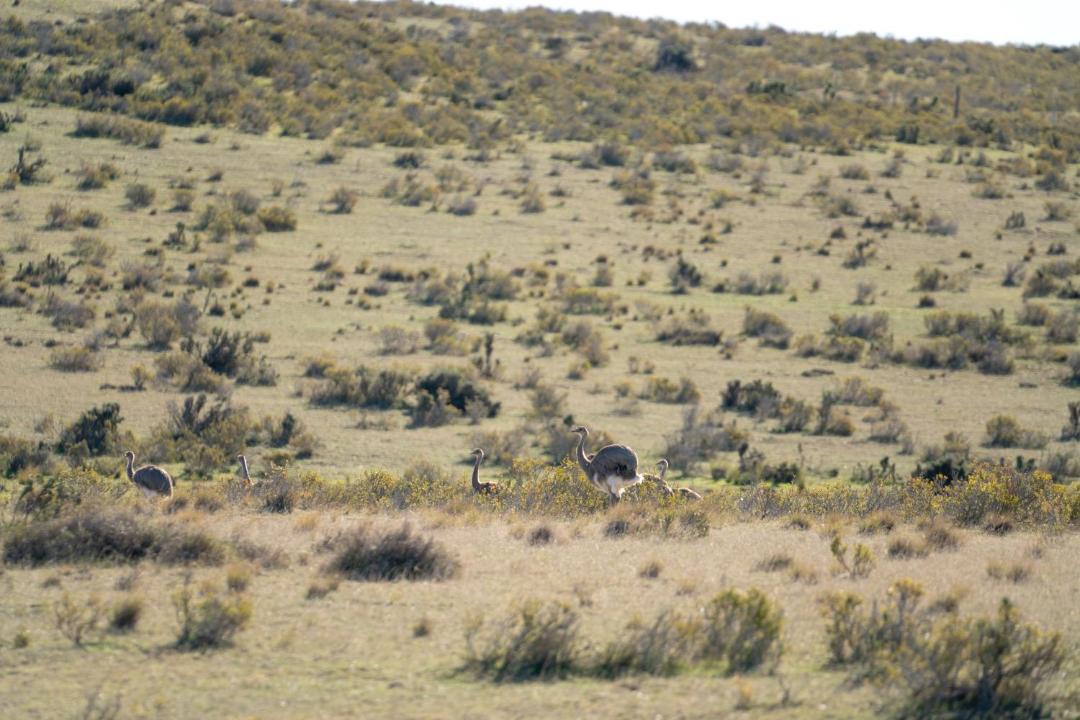 Photo of Others in Punta Delgada