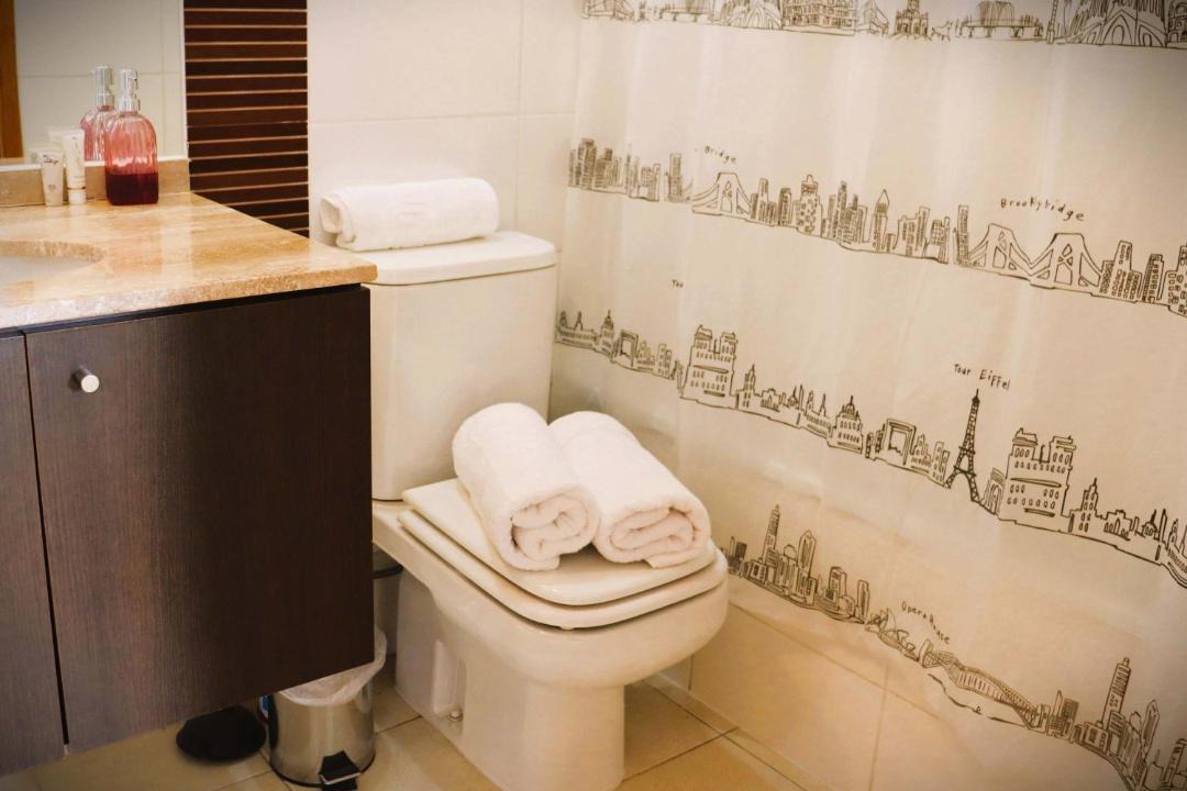 Photo of Bathroom in Valle Nevado