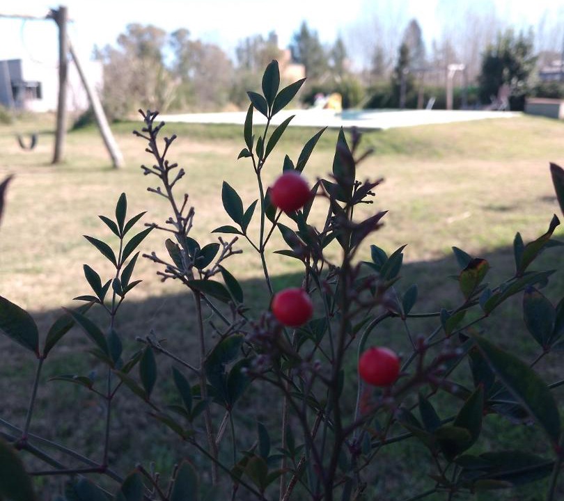 Photo of Others in Partido de Canuelas