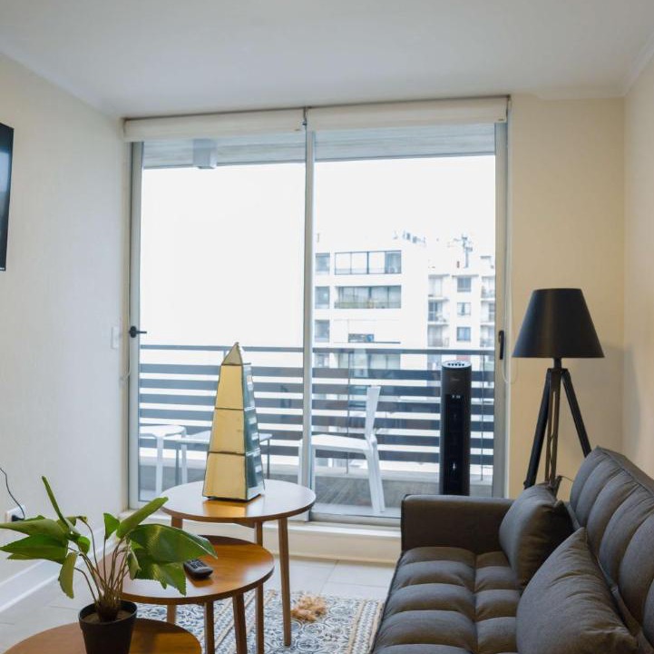 Photo of Livingroom in Downtown Santiago