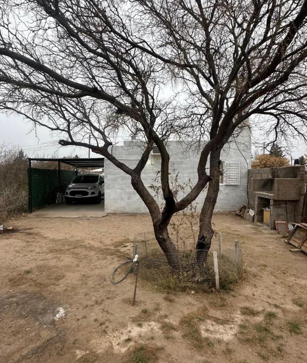Photo of Others in El Milagro