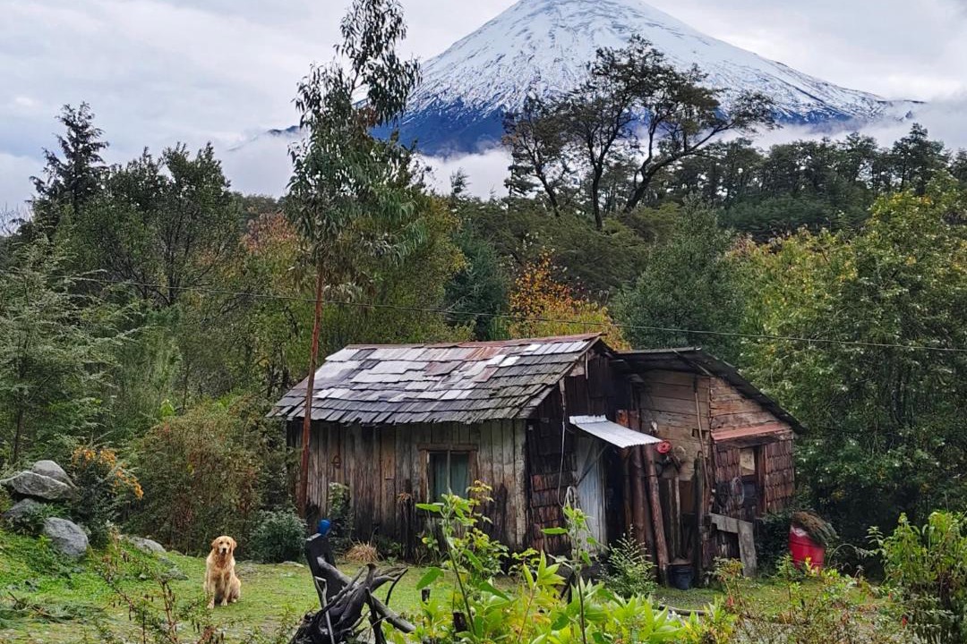 Photo of Others in Petrohue