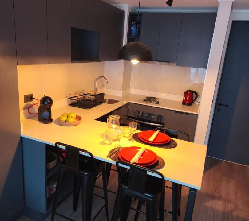 Photo of Kitchen in Downtown Santiago