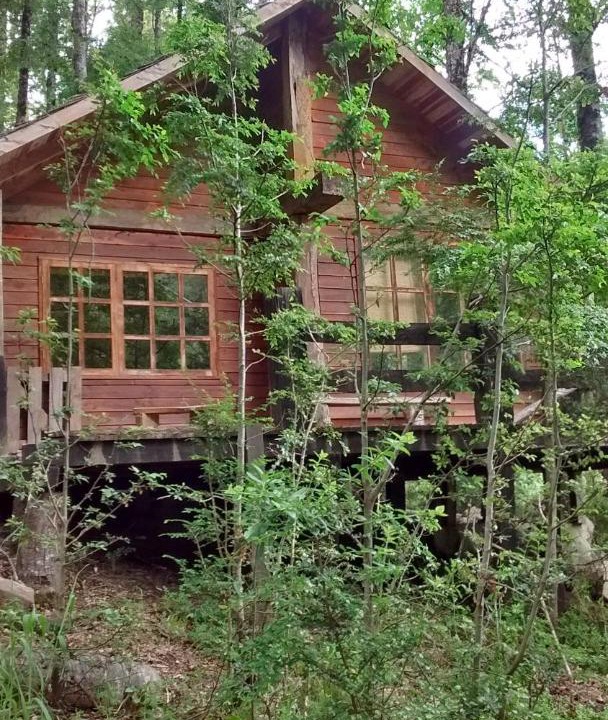 Photo of Others in Curarrehue