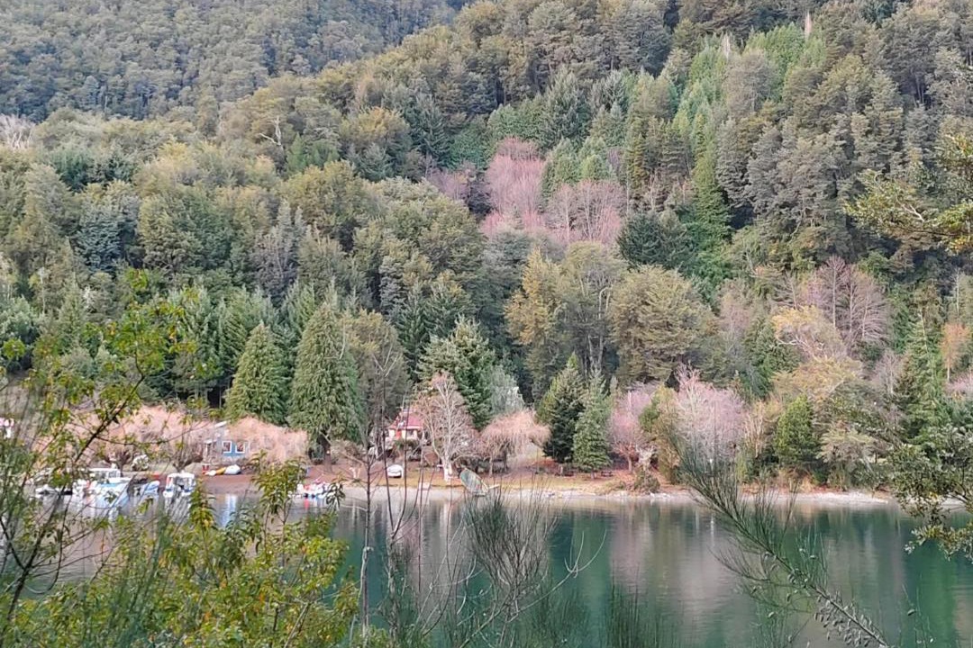 Photo of Others in Petrohue