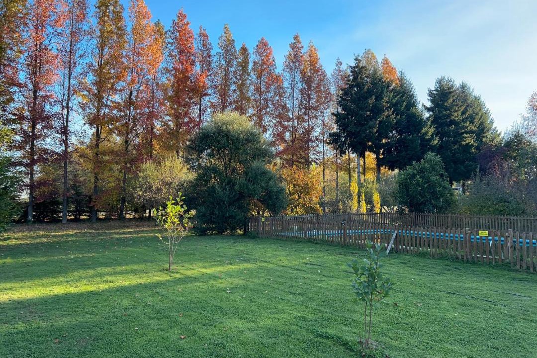 Photo of Outdoor in Pinto