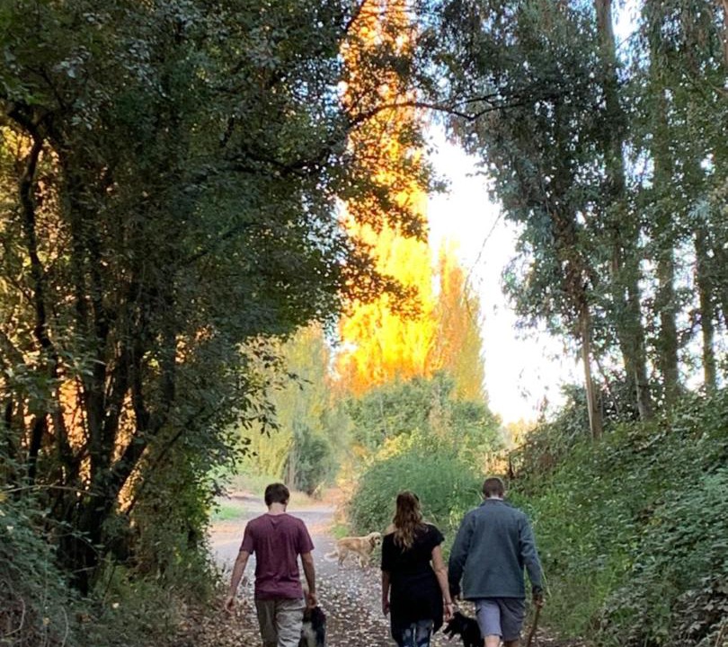 Photo of Others in Salto del Laja