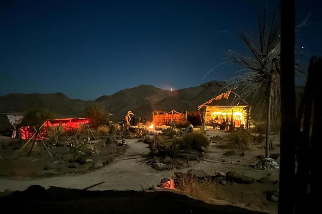 Photo of Others in Vicuna