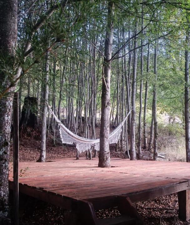 Photo of Outdoor in Curarrehue