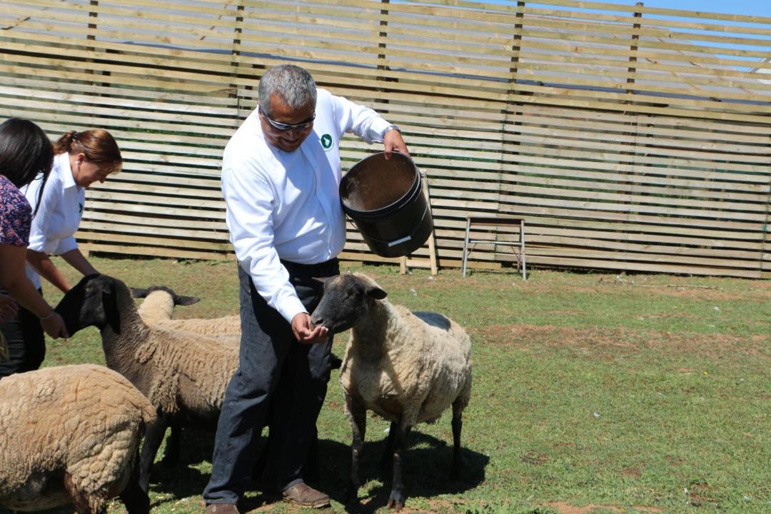 Photo of Others in Pelarco