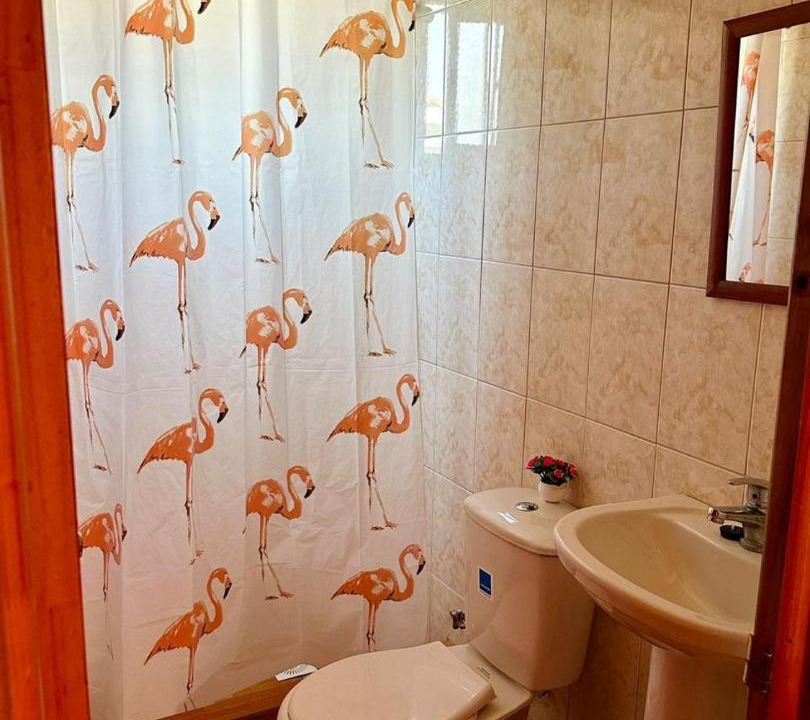 Photo of Bathroom in Isla Negra