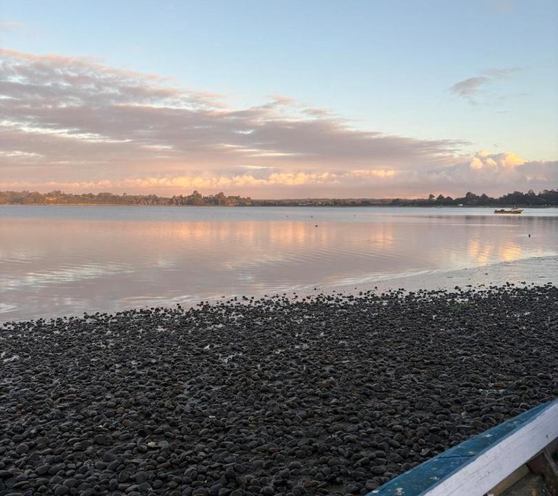 Photo of Others in Ancud