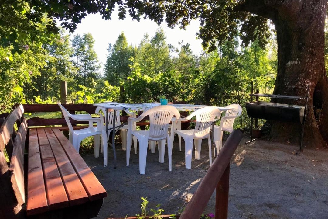 Photo of Others in Caburgua