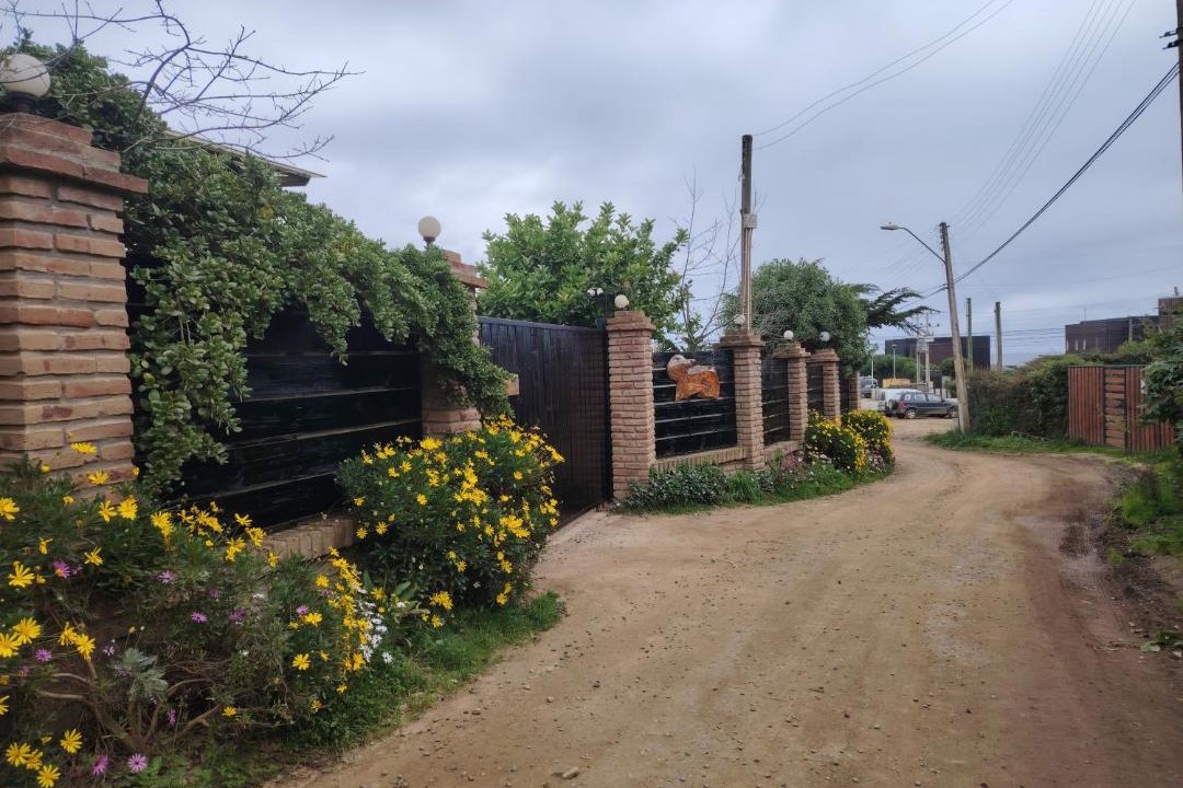 Photo of Others in Pichilemu