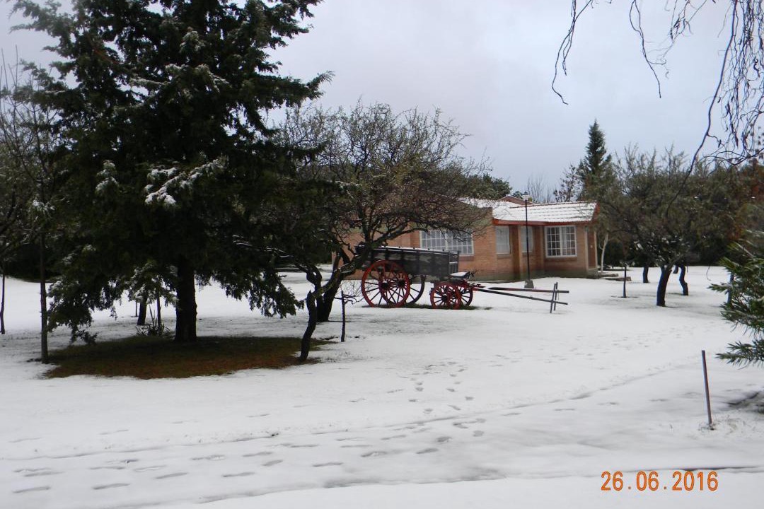 Photo of Others in Merlo