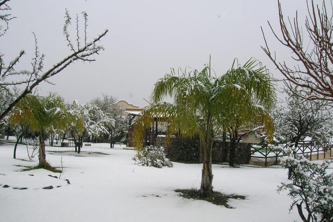 Photo of Others in Cerro de Oro