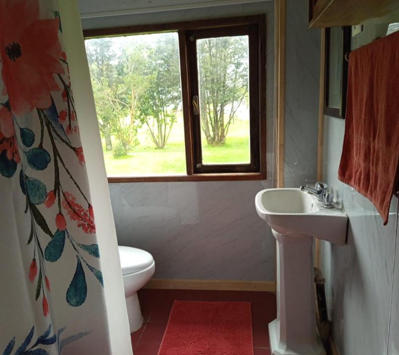 Photo of Bathroom in Frutillar