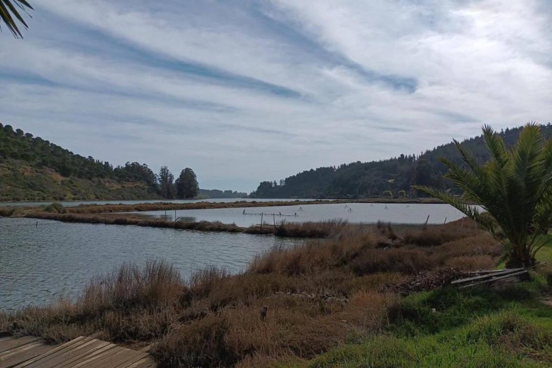 Photo of Others in Pichilemu