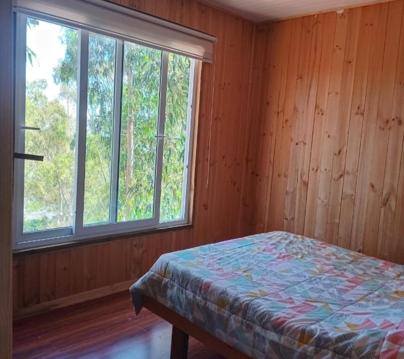 Photo of Others in Pichilemu