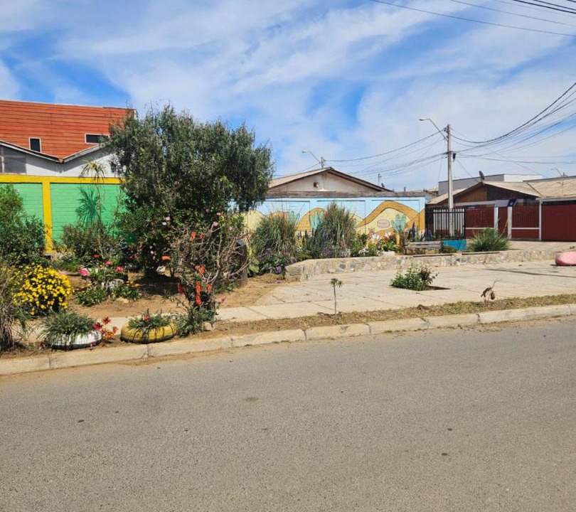 Photo of Others in Los Vilos