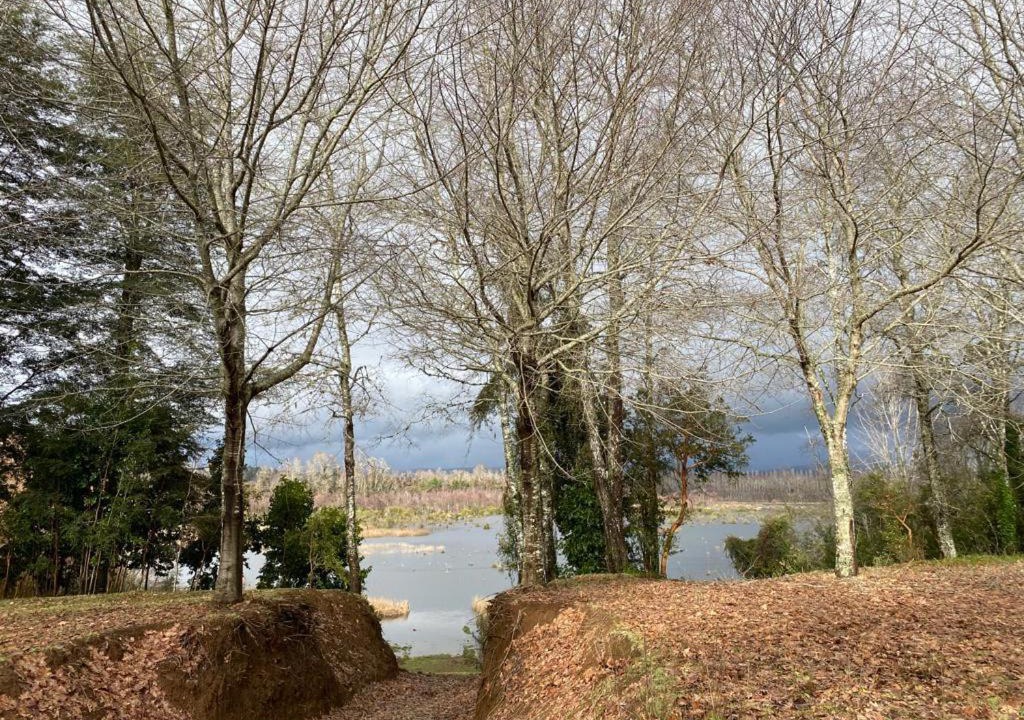 Photo of Others in Valdivia