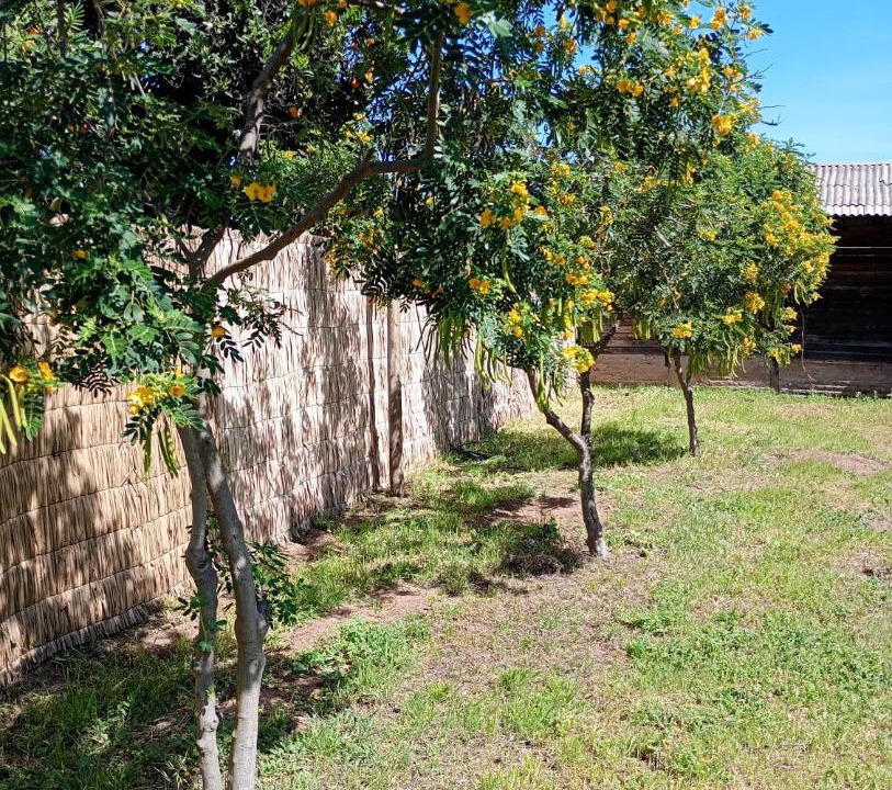 Photo of Outdoor in Puchuncavi