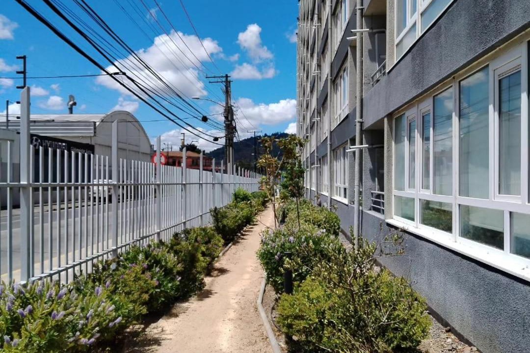 Photo of Others in Temuco